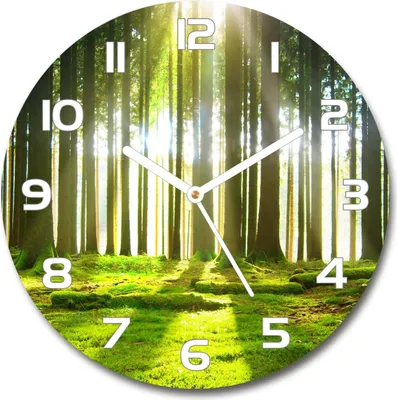 Produktbild von Wanduhr aus Glas 30fi Glasbild Glasuhr Gehärtetes Glas - weisse-zeiger - Forest in the sun