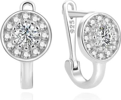 Immagine prodotto di Orecchini alla moda in argento con zirconi AGUC2189L