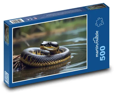 Obrázok produktu pre Puzzle 500 Had ležiaci vo vode - martinpuzzle