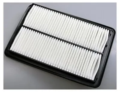 Zdjęcie produktu dla EBG Filtr powietrza silnika Nissan 165464BA1A