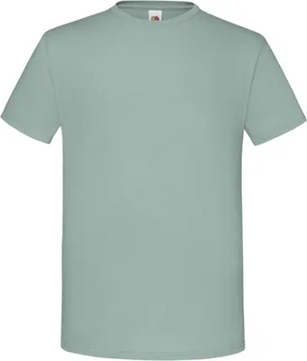 Image de Fruit of the Loom - T-shirt « Iconic 150 » pour homme FK2628 (S) (sauge)