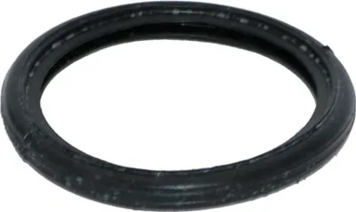 A single black o-ring is shown against a white background.
