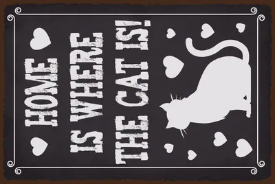Produktbild von vianmo Blechschild 40x30 cm Home is where cat