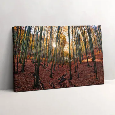 Produktbild von Sonnenuntergang und Bäume – Leinwandbild Wandbild – 30x20 cm – Leinwandbilder – Wandbilder – Schlafzimmer – Flur