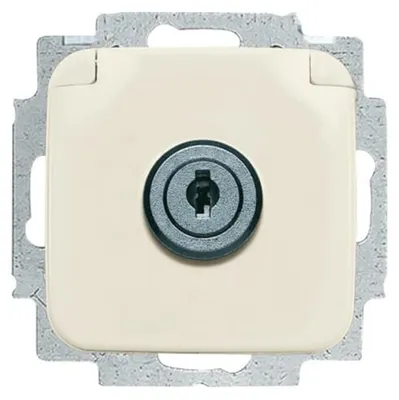 Immagine prodotto di Busch-Jaeger 20 EUKSL-212 Inserto per presa SCHUKO®, con coperchio ribaltabile bianco