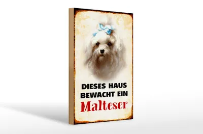 Produktbild von Holzschild Hund 20x30cm dieses Haus bewacht ein Malteser