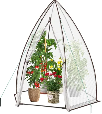 Produktbild von Sekey Foliengewächshaus 160 x 160 x 180 cm Gewächshaus Tomatengewächshaus Überwinterungszelt