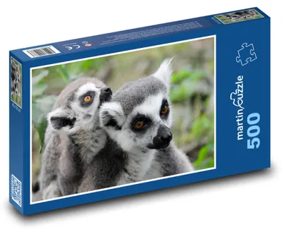 Obrázok produktu pre Puzzle 500 Lemuria rodina v zoo - martinpuzzle