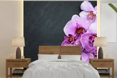 Produktbild von MuchoWow® Fototapete für Wohnzimmer oder Schlafzimmer Wandtapete Vinyl Motivtapete Orchidee - Blumen - Rosa - Flora - 220x220 cm - Tapeten