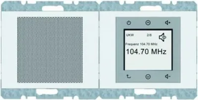Immagine prodotto di Berker K.1 RADIO DAB+/BT PW GLÄN (30807009 RADIO SET)