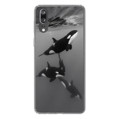 Produktbild von MuchoWow® Handyhülle Schutzhülle Hülle für Huawei P20 Orca - Wasser - Schwarz - Weiß Silikon Softcase Handy Hülle - Hardcover