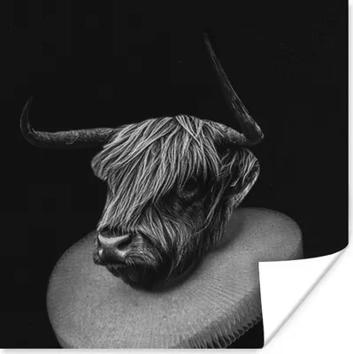Produktbild von MuchoWow® Poster Gemälde - Schottischer Highlander - Schwarz - Weiß 50x50 cm - Wohnzimmerdekoration