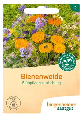 Image de Mélange de plantes à fleurs - Prairie mellifère