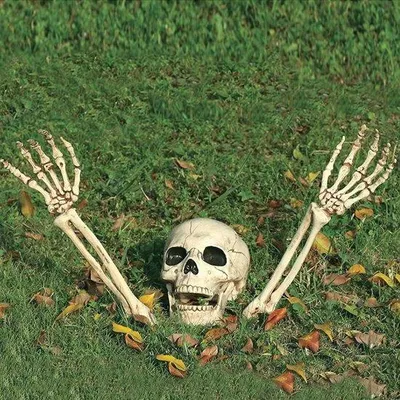 Productafbeelding van Famanu decoratieve skeletkop en -handen voor Halloween - 3 stuks