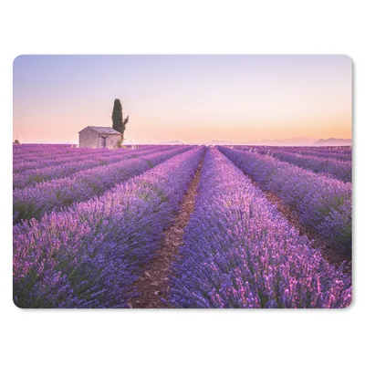 Produktbild von MuchoWow® Mauspad Mousepad Lavendel - Sonnenuntergang - Lila - Blumen 40x30 cm - Mousepads - Maus Mat - Pad - Mausunterlage - Anti Rutsch