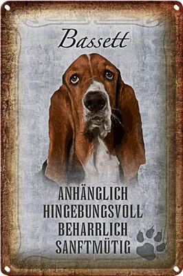 Produktbild von Blechschild Spruch 18x12cm Bassett Hund