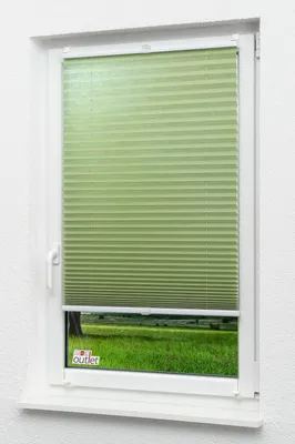 Produktbild von Lysel Outlet - Plissee Klemmen Grasgrün  - Plissee in der Größe (Bx H) 60cm * 130cm
