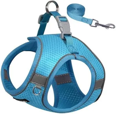 Produktbild von Hundegeschirr, Step-in verstellbares Hundegeschirr mit Leine, atmungsaktivem Mesh und Schnellverschluss – Spazierengehen, Training, Laufen im Freien für mittelgroße Hunde, Blau, L