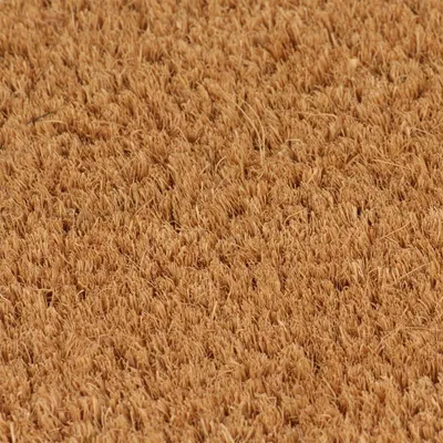 Produktbild von vidaXL Fußmatte Natur 50x80 cm Kokosfaser Getuftet
