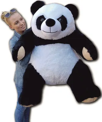 Produktbild von XXL Panda Bär Teddybär 1,45m riesen groß Kuscheltier 145cm Teddy Pandabär