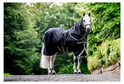 Produktbild von Amigo 1200D Plus Turnout Bundle, 140, Schwarz/Titanium Grau & Silber