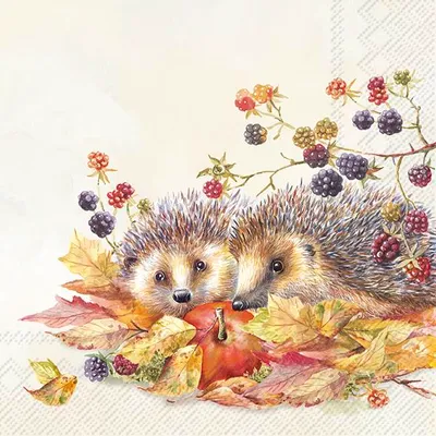Produktbild von HEDGEHOG FRIENDS Cream Lunch-Servietten L1015360
