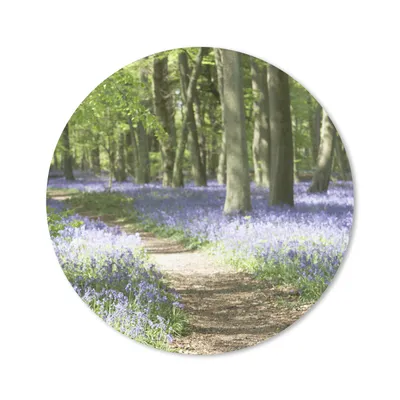 Produktbild von MuchoWow® Mauspad Mousepad Wald - Weg - Blumen - Lila - Grün - Natur 50x50 cm - Mousepads - Maus Mat - Pad - Mausunterlage - Vinyl