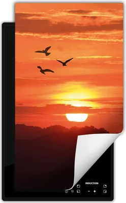Produktbild von DarHaus Herdabdeckplatte 1 teilig 30x52 cm Anti Rutsch Matte Aufrollbar, Himmel - Vogel