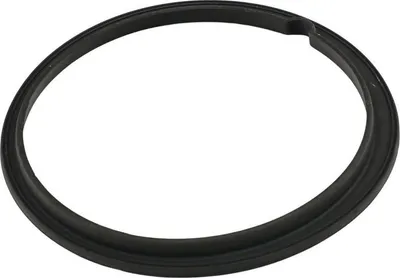 Produktbild von FAST Dichtung Tankgeber FT48502 für FIAT QUBO (225)