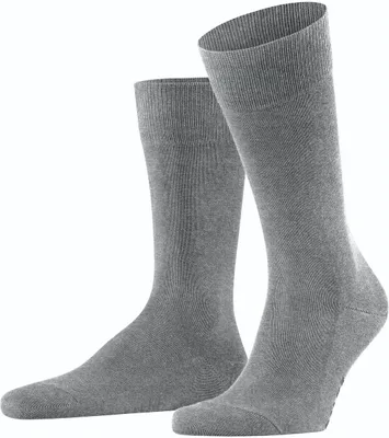 Produktbild von FALKE Family herensokken, lichtgrijs (light grey melange)