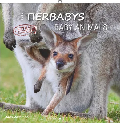 Produktbild von Alpha Edition - Tierbabys Kalender 2026 - Wandkalender 30×30