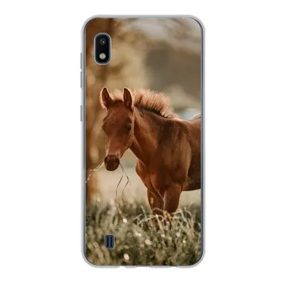 Produktbild von MuchoWow® Handyhülle Schutzhülle Hülle für Samsung Galaxy A10 Pferd - Licht - Wiese Silikon Softcase Handy Hülle - Schutzhülle