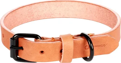 Produktbild von Flamingo Halsband Leano cognac, Maße: 31 - 39 cm / 20 mm