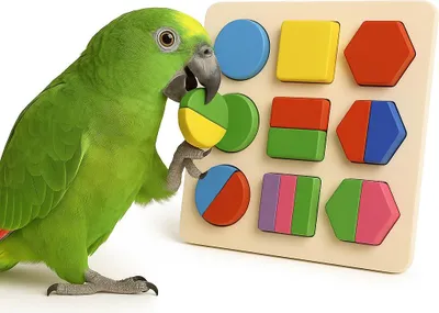 Zdjęcie produktu dla Papuzie Kolorowe Puzzle | Układanka dla wszystkich papug