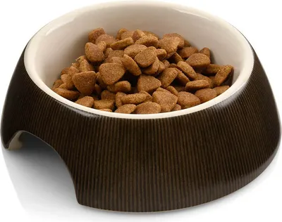 Obrázek produktu pro Keramická miska pro kočky | CanadianCat | 10 cm