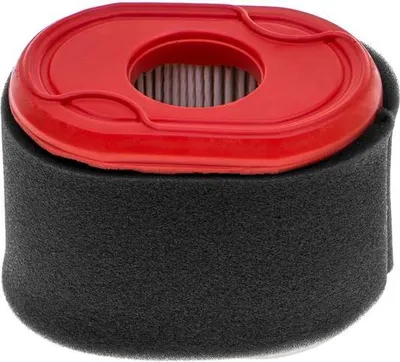 Zdjęcie produktu dla Filtr powietrza B&S SERIES 550 CZĘŚĆ ORYGINALNA 796970