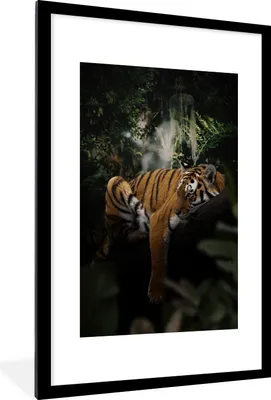 Produktbild von MuchoWow® MuchoWow® Gerahmtes Poster Tiger - Dschungel - Baum 60x90 cm - Poster mit zchwarzem Bilderrahmen - Dekoration - Wandposter Wohnzimmer - Hochwertig