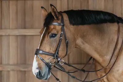 Immagine prodotto di Dyon Working Motion Snaffle WBD