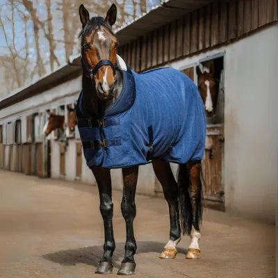 Zdjęcie produktu dla Koc Equithème Abschwitzdecke, rozmiar 5'9" - koc Comfortech Melange