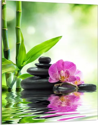 Produktbild von Glasschneidebrett 40x52 Orchidee