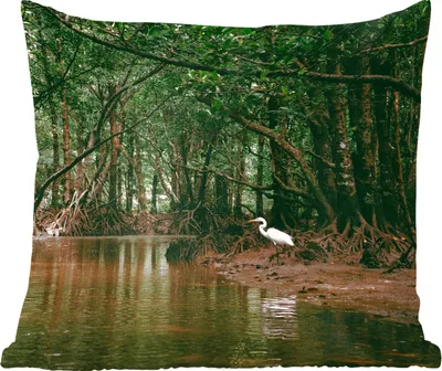 Produktbild von MuchoWow® Zierkissen Sofakissen Wohnzimmer Dekokissen 60x60 cm Reiher - Wald - See - Sitzfläche - Foto Polster