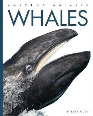 Productafbeelding van Whales