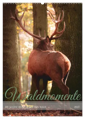 Produktbild von Waldmomente (Wandkalender 2027 DIN A2 hoch), CALVENDO Monatskalender