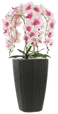 Produktbild von Künstliche Orchidee Cremerosa Kaskaden Blumenstrauß im Topf Anthrazit H95 cm gummierte Blumen, 5 Triebe Heimbüro Dekoration Schön Stilvoll