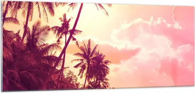 Produktbild von Bilder auf glas - palme dschungel - 100x40cm - Glasbilder - Wandbilder - Kunstdruck - zum Aufhängen bereit - Wanddekoration aus Glas - Glas Bilder - Wandbild auf Glas - Einteilig - GAB100x40-3994