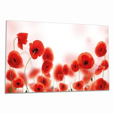 Produktbild von Wallario Herdabdeckplatte aus Glas, Größe 90 x 52 cm 1-teilig, Motiv Leuchtende Mohnblumen - Rote Mohnblumenblüten