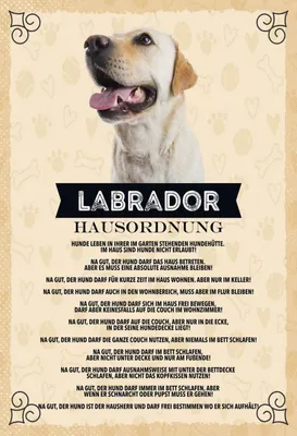 Produktbild von vianmo Holzschild 30x20 cm Tiere Labrador Hausordnung Hunde