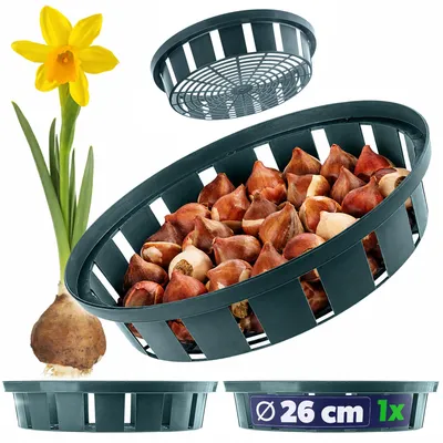 Immagine prodotto di KADAX Cestino per bulbi da 22 cm