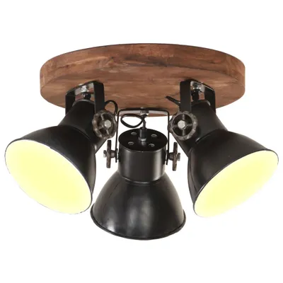 Obrázok produktu pre Industriálna stropná lampa 25 W, čierna 42x27 cm E27