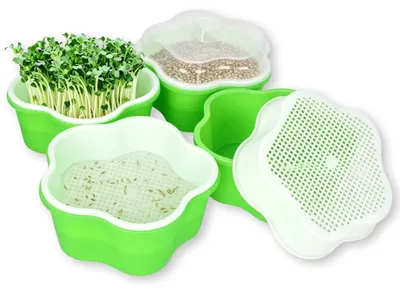 Zdjęcie produktu dla Zestaw doniczek do uprawy roślin - 4 sztuki - 18 cm - Donice do uprawy rzeodęby i innych roślin z nasion